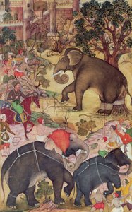 Akbar inspectant l